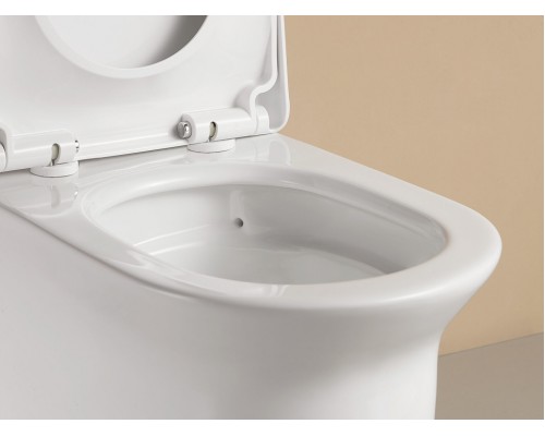 Сиденье с крышкой PP микролифт Arrow AB1118-A белый