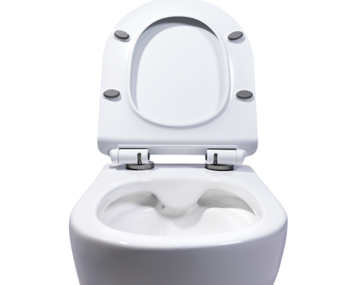 Подвесной безободковый унитаз Charus Berta EWC700-120W сиденьем микролифт