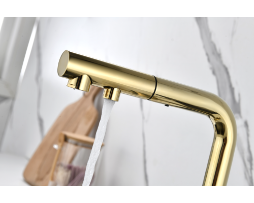 Смеситель для кухни Paulmark Serpentine Se213222-G Золото