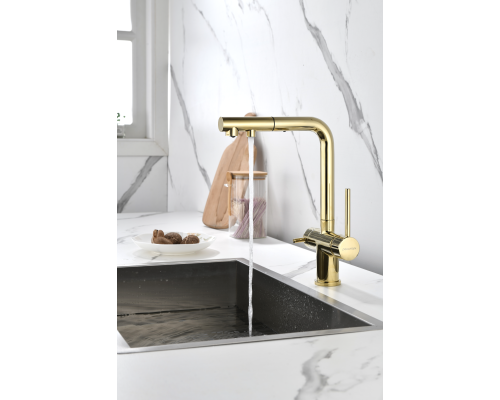 Смеситель для кухни Paulmark Serpentine Se213222-G Золото