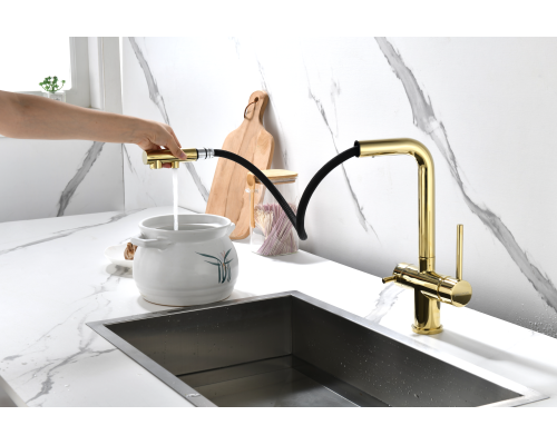 Смеситель для кухни Paulmark Serpentine Se213222-G Золото