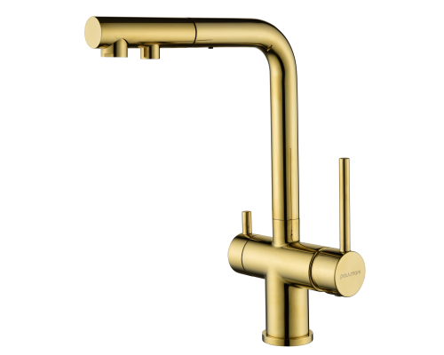 Смеситель для кухни Paulmark Serpentine Se213222-G Золото