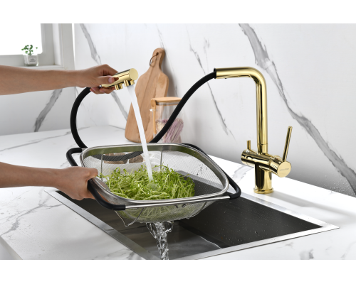 Смеситель для кухни Paulmark Serpentine Se213222-G Золото