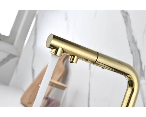 Смеситель для кухни Paulmark Serpentine Se213222-G Золото