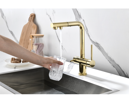 Смеситель для кухни Paulmark Serpentine Se213222-G Золото