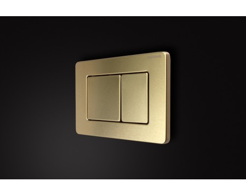 Кнопка смыва Charus Robusto FP.310.BTG.05 брашированное золото