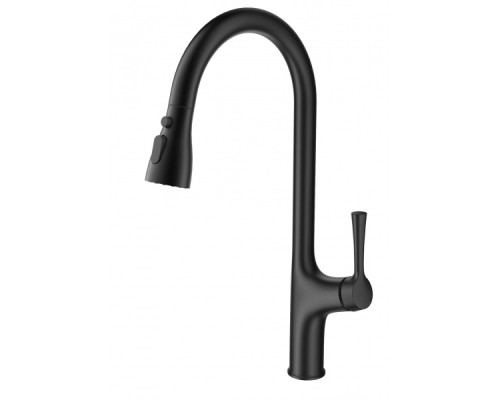 Смеситель для кухни с выдвижным изливом Wonzon&Woghand, Темный графит