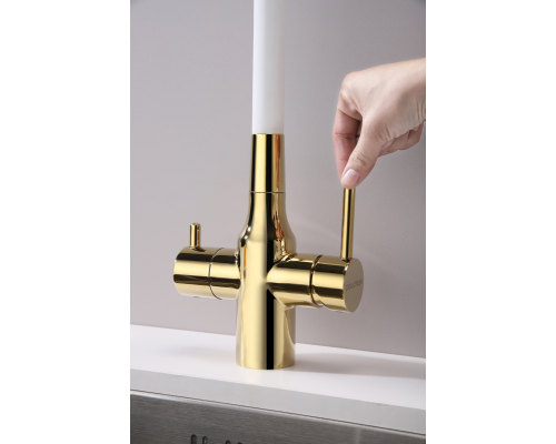 Смеситель для кухни Paulmark Salix Sa213419-Gw Золото Белый