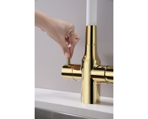 Смеситель для кухни Paulmark Salix Sa213419-Gw Золото Белый