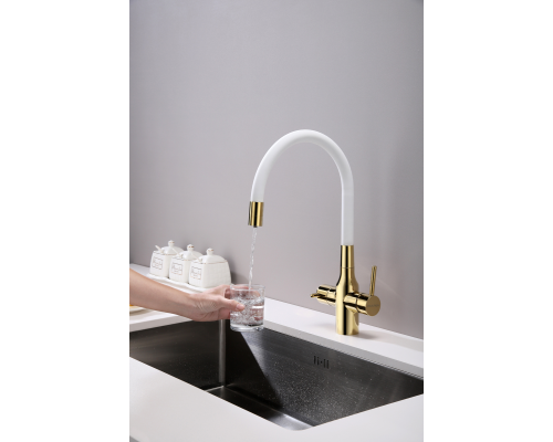 Смеситель для кухни Paulmark Salix Sa213419-Gw Золото Белый