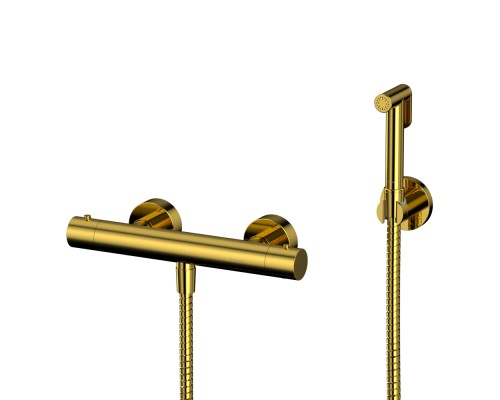 Система для биде наружного монтажа WHITECROSS Y SYSYBI3GL (золото)