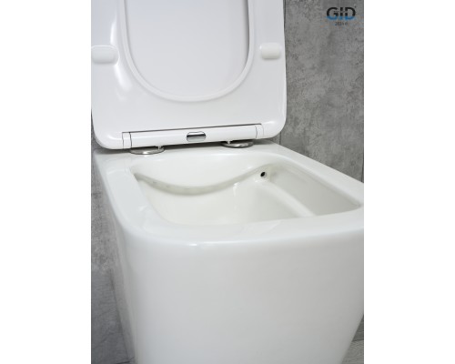 Подвесной унитаз Gid Tr2143