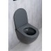 Подвесной унитаз Gid Tr2122TF-Dgm