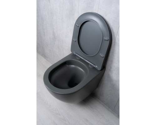 Подвесной унитаз Gid Tr2122TF-Dgm