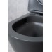 Подвесной унитаз Gid Tr2122TF-Dgm