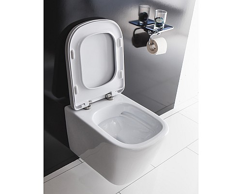 Чаша унитаза BelBagno BB120CHR