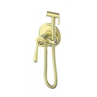 Смеситель с гигиеническим душем встраиваемый Wonzon&Woghand, Брашированное золото