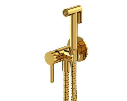 Система для биде скрытого монтажа WHITECROSS Y SYSYBI2GL золото