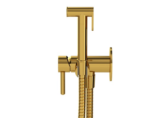 Система для биде скрытого монтажа WHITECROSS Y SYSYBI2GL золото