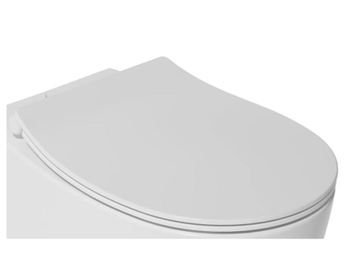 Сиденье для унитаза ISVEA Sentimenti Neo с крышкой с микролифтом-белый 40D80200I-S
