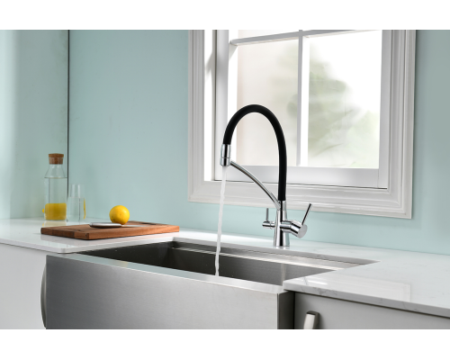 Смеситель для кухни Paulmark Sigen Si213111-CR