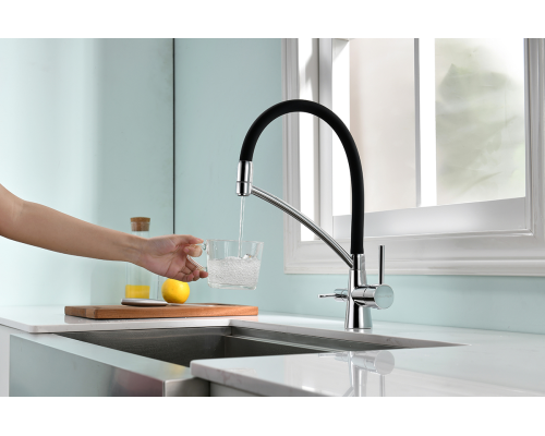 Смеситель для кухни Paulmark Sigen Si213111-CR