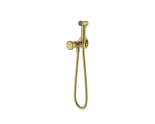 Встраиваемый гигиенический душ ALTROBAGNO Рикко (Ricco) 060131 BG