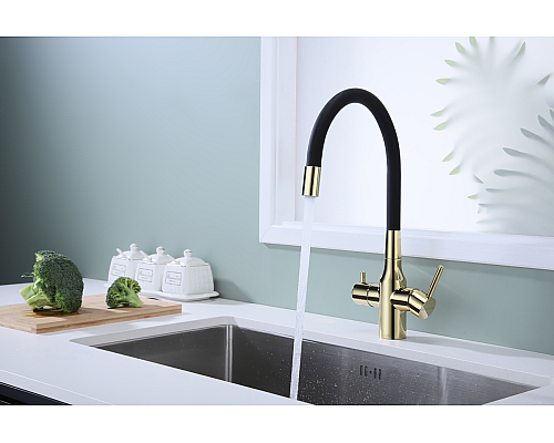 Смеситель для кухни Paulmark Salix Sa213419-G Золото