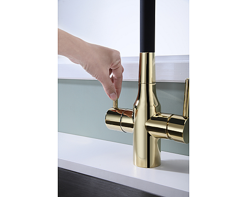 Смеситель для кухни Paulmark Salix Sa213419-G Золото