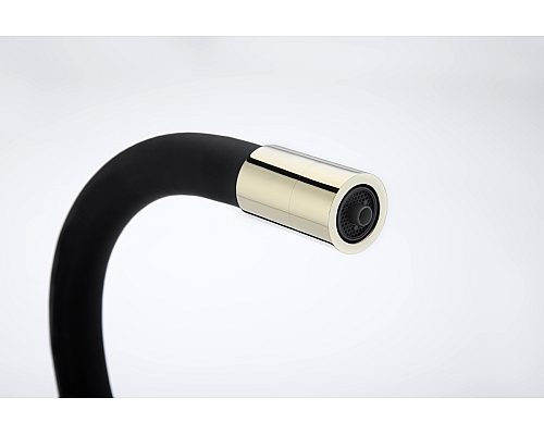 Смеситель для кухни Paulmark Salix Sa213419-G Золото