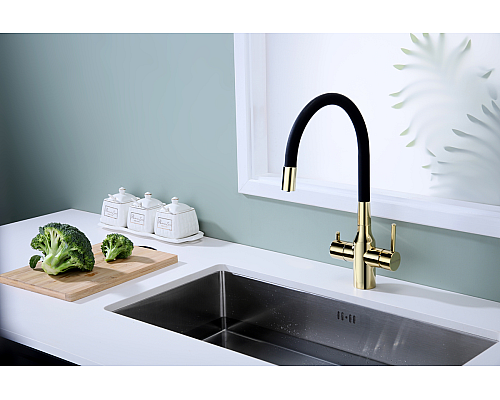 Смеситель для кухни Paulmark Salix Sa213419-G Золото