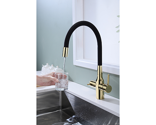 Смеситель для кухни Paulmark Salix Sa213419-G Золото