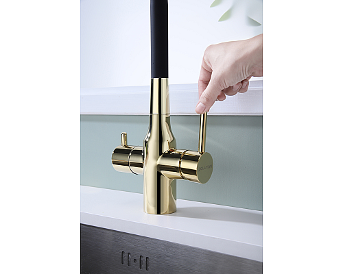 Смеситель для кухни Paulmark Salix Sa213419-G Золото