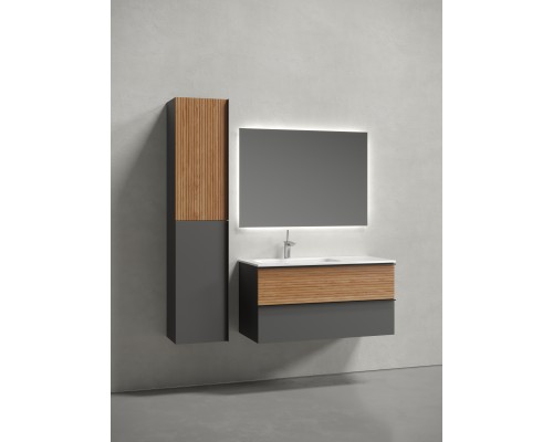 Тумба для раковины SanCos Delta 100 DL100LGR Дуб красный, графит