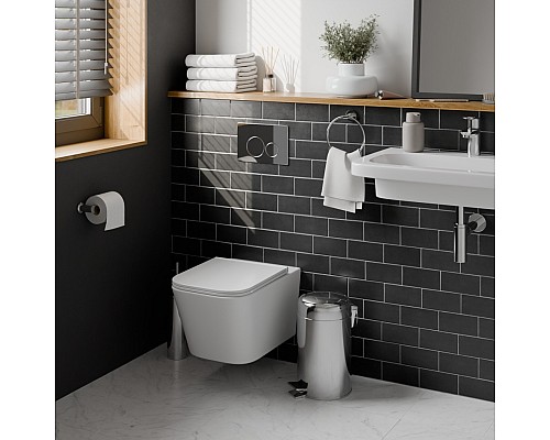 Клавиша смыва Iberica Blanca Inox-O 246x165, хром глянцевый, нержавеющая сталь Клавиша смыва Iberica Blanca Inox-O 246x165, хром глянцевый, нержавеющая сталь
