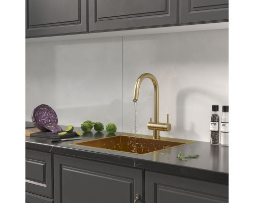 Кухонная мойка Reflexion Iseo RX2250GD брашированное золото