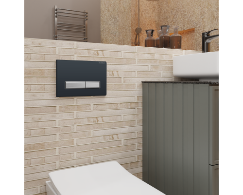 Кнопка смыва Charus Raiden FP.321.BBN.01 черный глянцевый