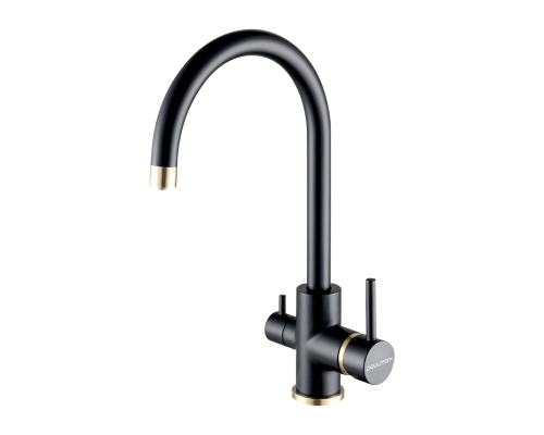 Смеситель для кухни Paulmark Essen Es213211-401BR