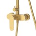 Душевая система Cezares Stylus STYLUS-CD-BORO Брашированное золото