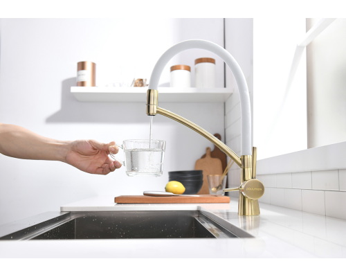 Смеситель для кухни Paulmark Siegen Si213111-BRw Бронза Белый