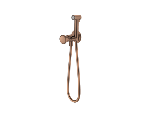 Встраиваемый гигиенический душ ALTROBAGNO Рикко (Ricco) 060133 BC