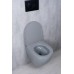 Подвесной унитаз Gid Tr2122TF-Lgm