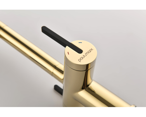 Смеситель для кухни Gravity Gr213188-G золото Starke-Paulmark