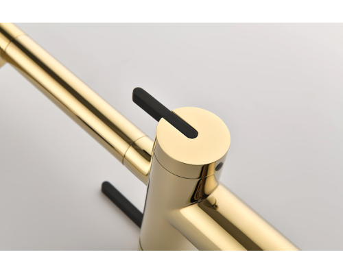 Смеситель для кухни Gravity Gr213188-G золото Starke-Paulmark