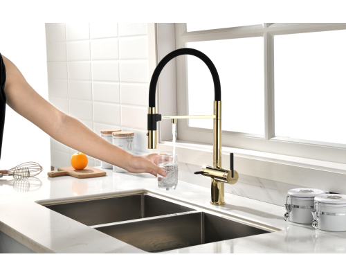 Смеситель для кухни Gravity Gr213188-G золото Starke-Paulmark