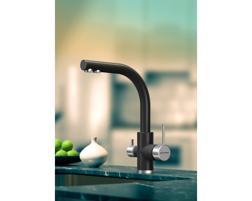 Смеситель для кухни Paulmark Essen Es213011-401