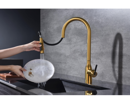 Смеситель для кухни Paulmark Universal Un213880-BG Брашированное золото