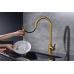 Смеситель для кухни Paulmark Universal Un213880-BG Брашированное золото