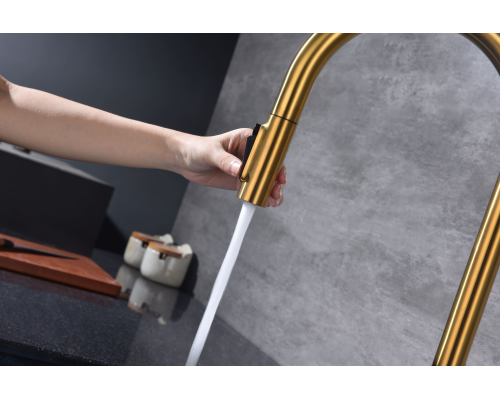 Смеситель для кухни Paulmark Universal Un213880-BG Брашированное золото