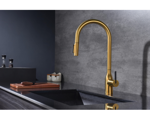 Смеситель для кухни Paulmark Universal Un213880-BG Брашированное золото